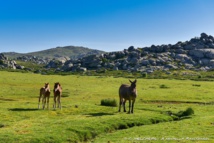 crédit photo@Christophe Melchers crédit photo@Christophe Melchers