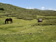 Respirer la montagne Corse Respirer la montagne Corse