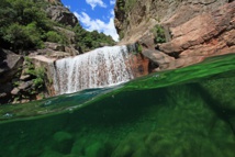 Organisez votre journée Organisez votre journée