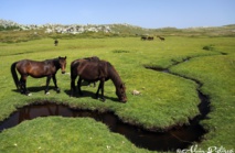 Organisez votre journée Organisez votre journée