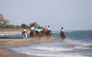 Courses Equestres